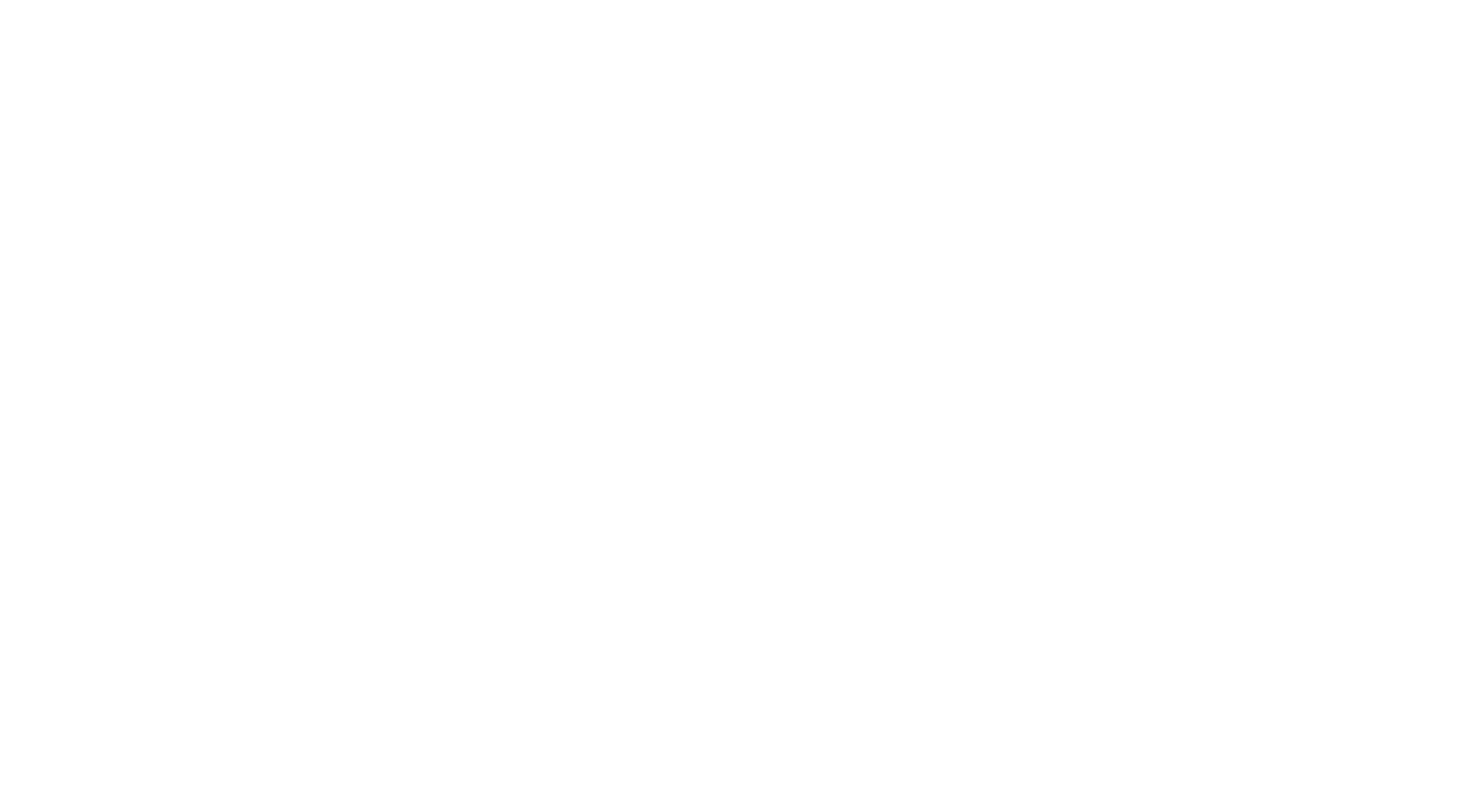 Logo Fluke min
